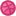 favicon-dribble favicon dribble